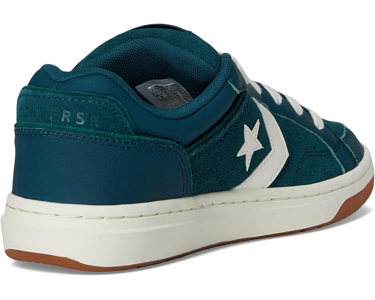 프로 블레이즈 클래식 5