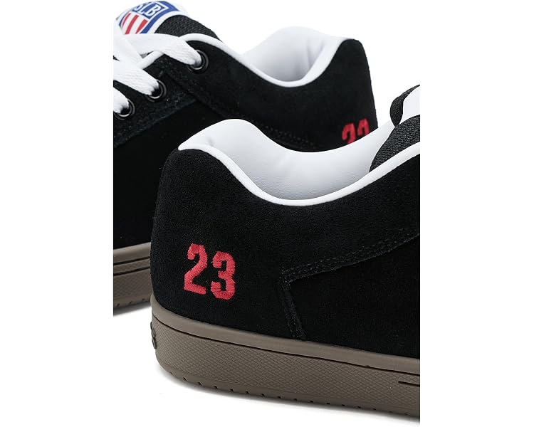 Sal23 6